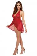 Teddy DR11773 rouge